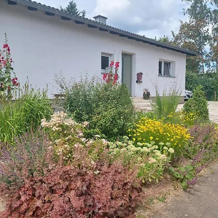 Manderscheid-blick Pantenburg